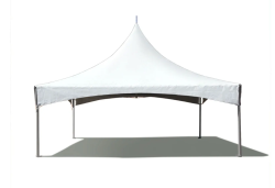 20' x 20' High Peak Marquee Tent
